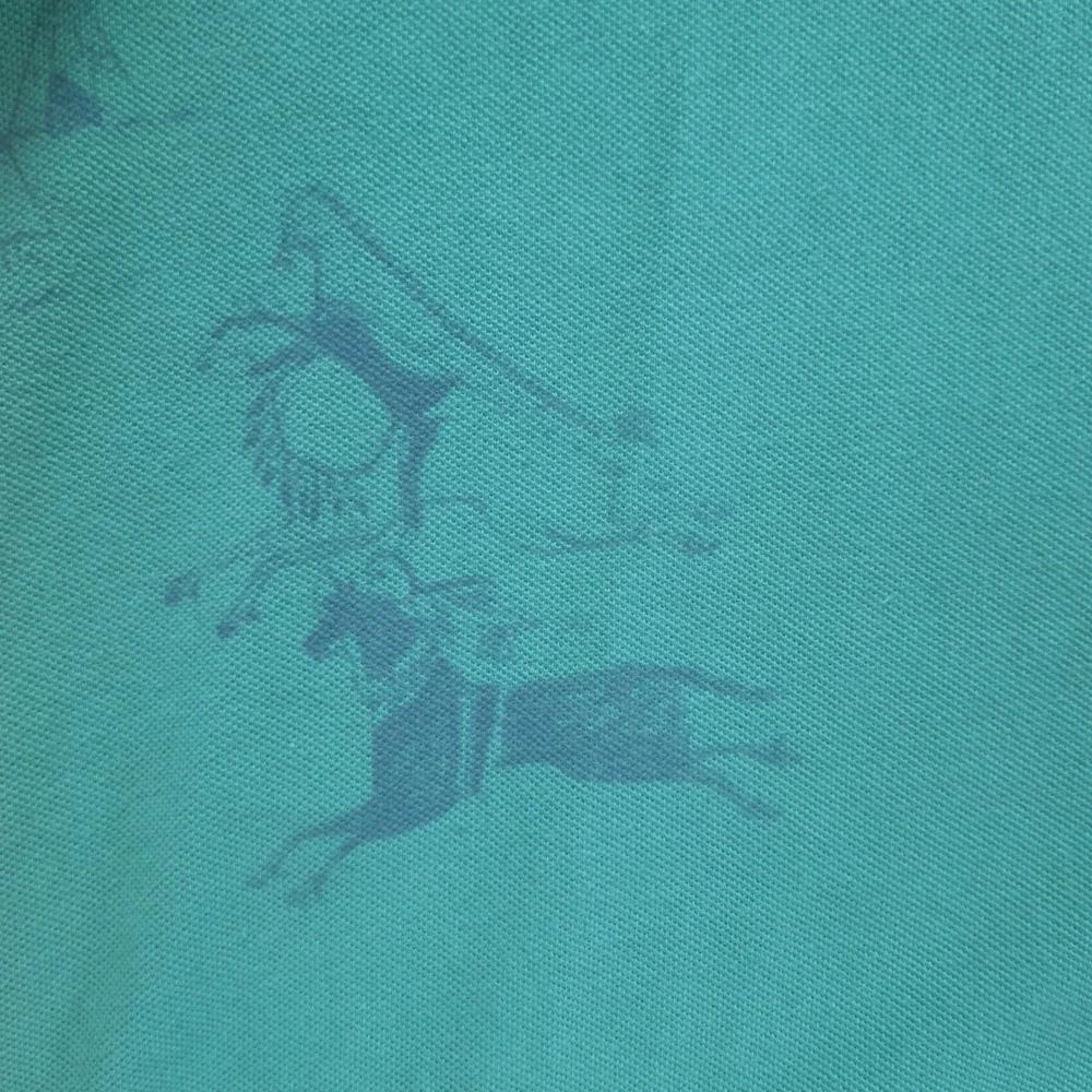 Polo Ralph Lauren Custom Fit Vintage Native American Graphic Polo Green XL